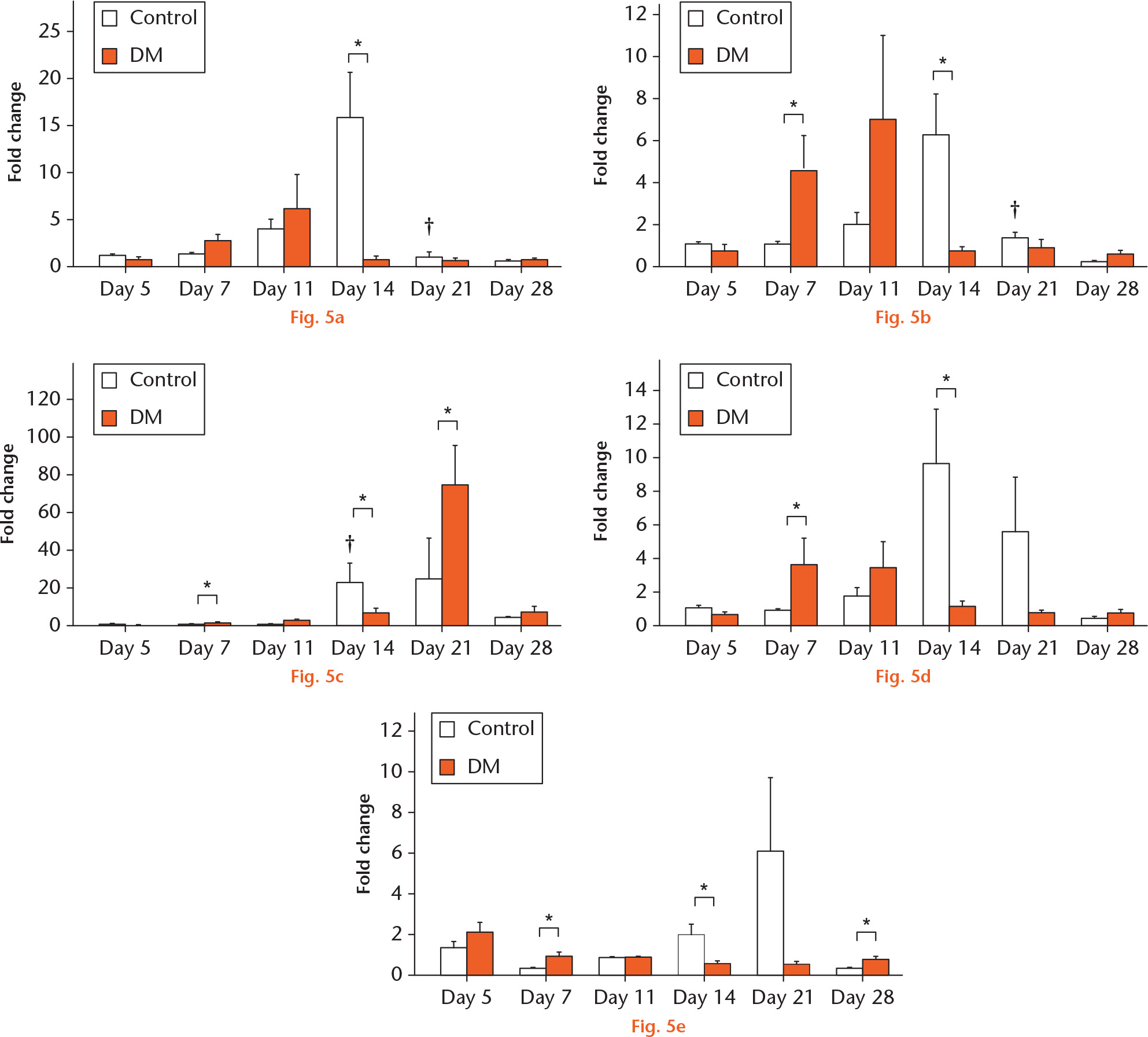  
            Graphs showing expression of a) miR-140-3p, b) miR-140-5p, c) miR-181a-1-3p, d) miR-210-3p, and e) miR-222-3p in the control group (white bars) and diabetes mellitus (DM) group (orange bars) on post-fracture days five, seven, 11, 14, 21, and 28, as analyzed by real-time polymerase chain reaction (PCR). All graphs show the fold change in expression when the expression in the control group on day five was normalized as 1. Values are the mean and standard error of the mean (n = 6 in each group at each timepoint). *p < 0.05 for indicated groups at the same timepoint. †p < 0.05 versus values on the former timepoint in the control group. p-values calculated using Mann–Whitney U test with Bonferroni correction.
          