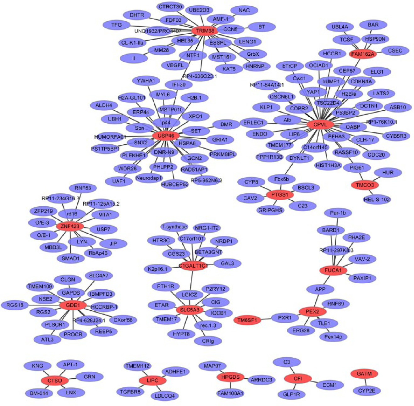 Fig. 5 
            The protein-protein interaction (PPI) networks of the top 20 upregulated differentially expressed genes (DEGs). All the nodes are proteins encoded by DEGs and the red borders represent proteins encoded by the top 20 upregulated DEGs; purple borders represent proteins encoded by other genes that interacted with proteins encoded by these DEGs.
          