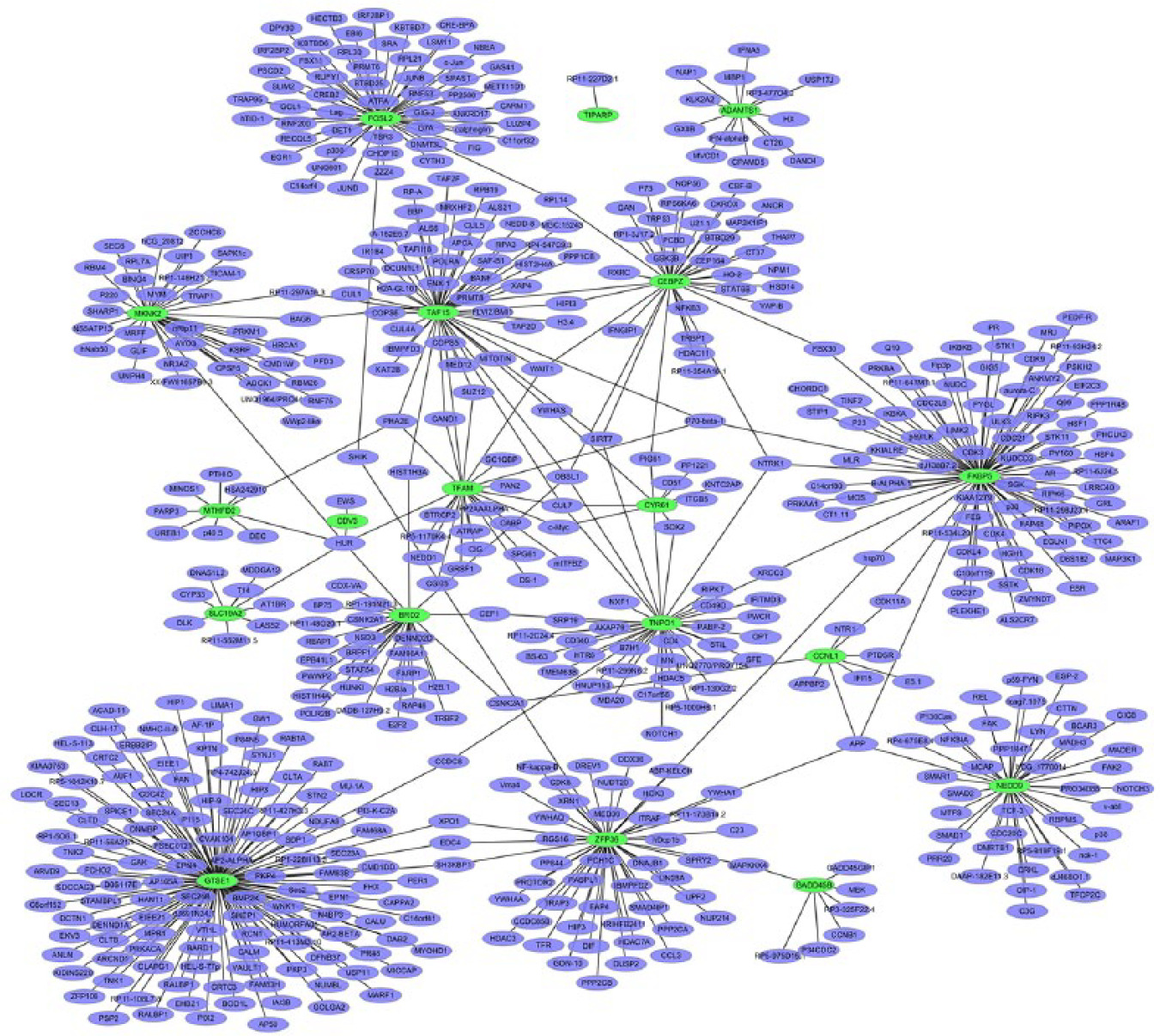 Fig. 6 
            The protein-protein interaction (PPI) networks of the top 20 downregulated differentially expressed genes (DEGs). All the nodes are proteins encoded by DEGs and the green borders represent proteins encoded by top 20 downregulated DEGs; purple borders represent proteins encoded by other genes interacted with proteins encoded by these DEGs.
          