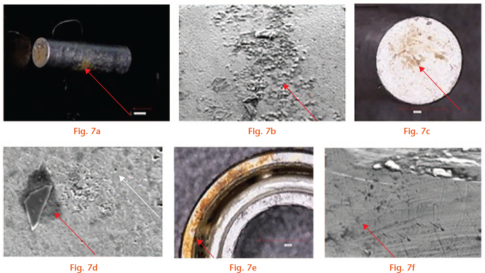  
            Microscopic inspection of internal parts of P2. a) Foreign material on the pin (arrow) while b) scanning electron microscopy (SEM) showed no presence of black debris, only biological deposits on the side. c) Minor presence of black debris on the top of the pin (arrow), while d) SEM showed some black debris (red arrow) and pitting corrosion (white arrow). e) Ball bearing with debris and deposits (arrow), which f) under SEM inspection revealed presence of black debris (arrow).
          
