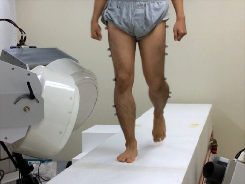 Fig. 1 
            A biplanar fluoroscopic imaging system was set up on both sides of a walkway made of high-strength polystyrene foam to capture high-speed fluoroscopic images of the ankle joint complex from heel-strike to toe-off during normal walking.
          