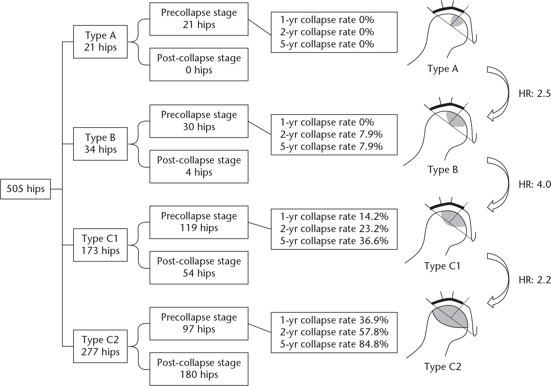 Fig. 3 
            Five-year collapse rates and hazard ratios (HRs) of each disease type as evaluated by the Cox regression model. A higher collapse rate and an increase in HR for collapse of the femoral head can be seen as the osteonecrotic lesion size increases.
          