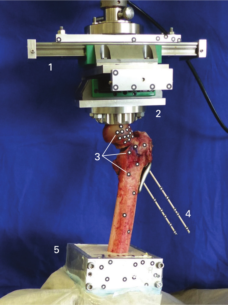 Fig. 2 
          Biomechanical test setup with multidirectional bearing plate (1), inverted hemispherical chamber (2), reference markers for movement analysis (3), adaptors for definition of the neck axis (4), and rigid embedding (5).
        
