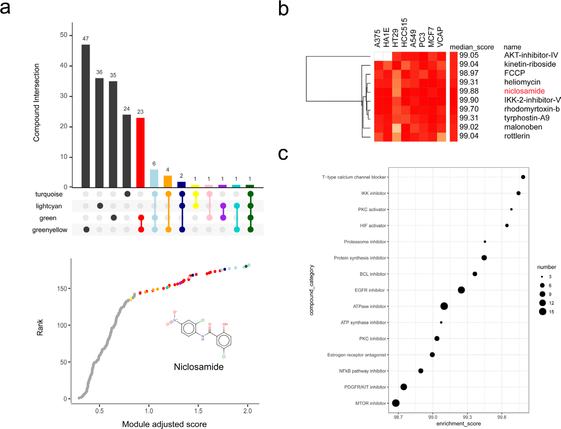 Fig. 8 
            Compound screening based on rheumatoid arthritis (RA)-related modules. a) Intersection of compounds targeting to specific RA-related modules and enrichment scores adjusted by module-trait correlation coefficient. b) Heatmap of gene expression signature of niclosamide and the compounds with similar signature. c) Compound categories with similar gene expression signature to niclosamide. EGFR, epidermal growth factor receptor; mTOR, mammalian target of rapamycin; NFκB, nuclear factor kappa-light-chain-enhancer of activated B cells; PDGFR, platelet-derived growth factor receptor; PKC, protein kinase C.
          