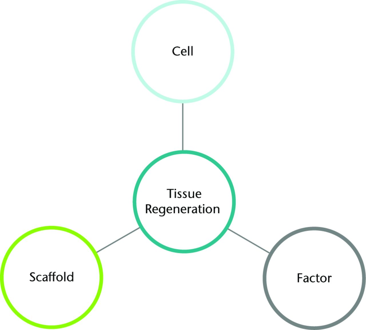 Fig. 2 
          Diagram showing the key parts of tissue regeneration strategy.
        