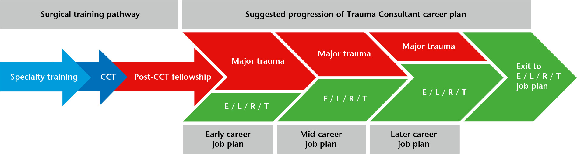 Fig. 2 
        A model of surgical training and consultant career development. CCT, Certificate of Completion of Training; E/L/R/T, Elective/leadership/research training.
      