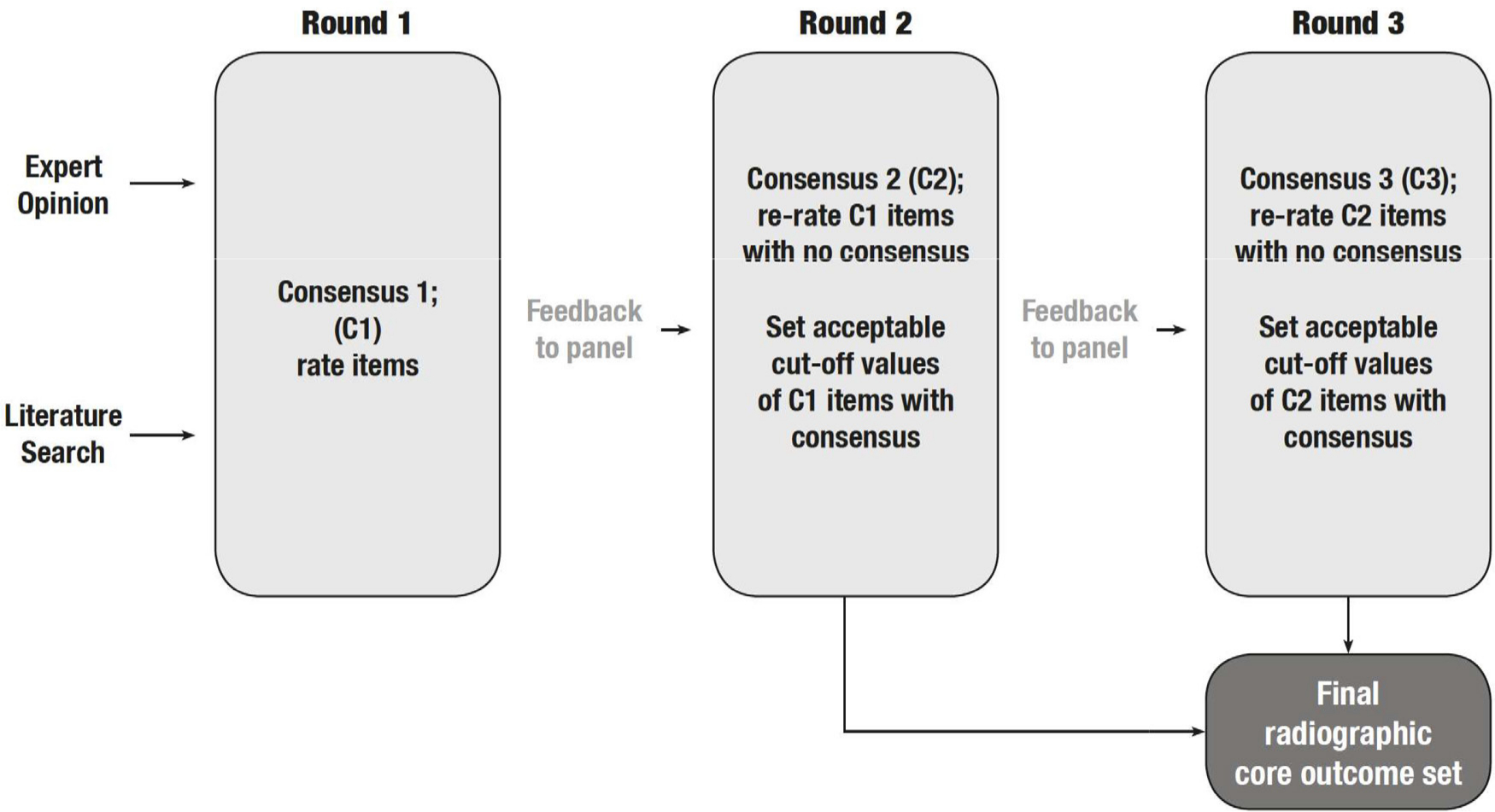 Fig. 1 
            Overview of the consensus process.
          