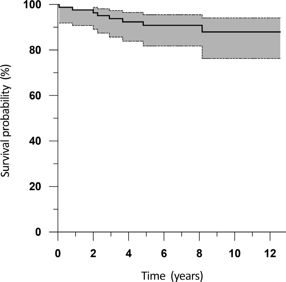 Fig. 3 
          Kaplan-Meier survival analysis following single-stage revision total knee arthroplasty for infection, with infection recurrence as the endpoint. The shaded area indicates the 95% confidence interval.
        