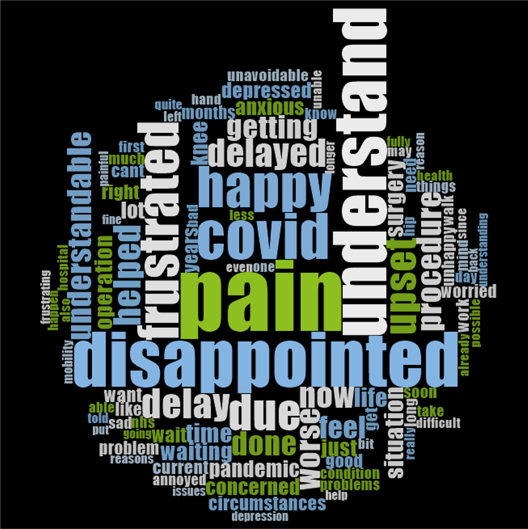 Fig. 2 
            Word cloud based on sentiments expressed in response to the question, “what are your feelings about procedure delays?”
          