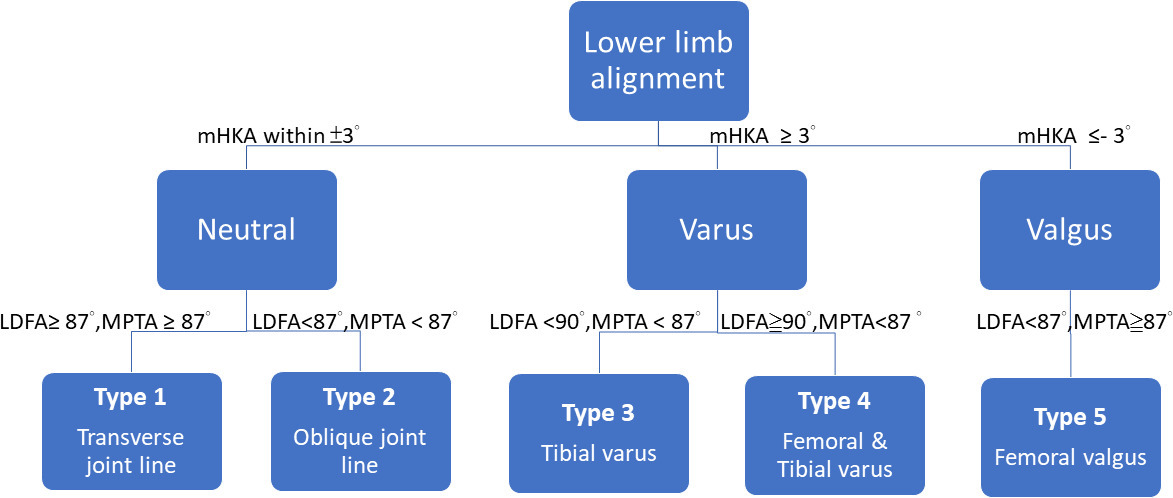 Fig. 5 
          The algorithm of Lin et al’s6 classification for the lower limb alignment in the coronal plane. LDFA, lateral distal femoral angle; mHKA, mechanical hip-knee-ankle angle; MPTA, medial proximal tibial angle.
        