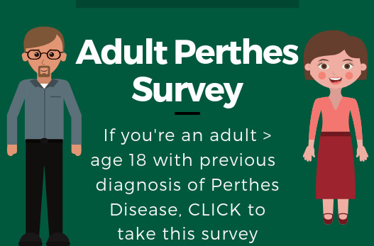 Fig 2 
          International Perthes Study Group website announcement and hyperlink for public to access the Adult Perthes Survey.
        