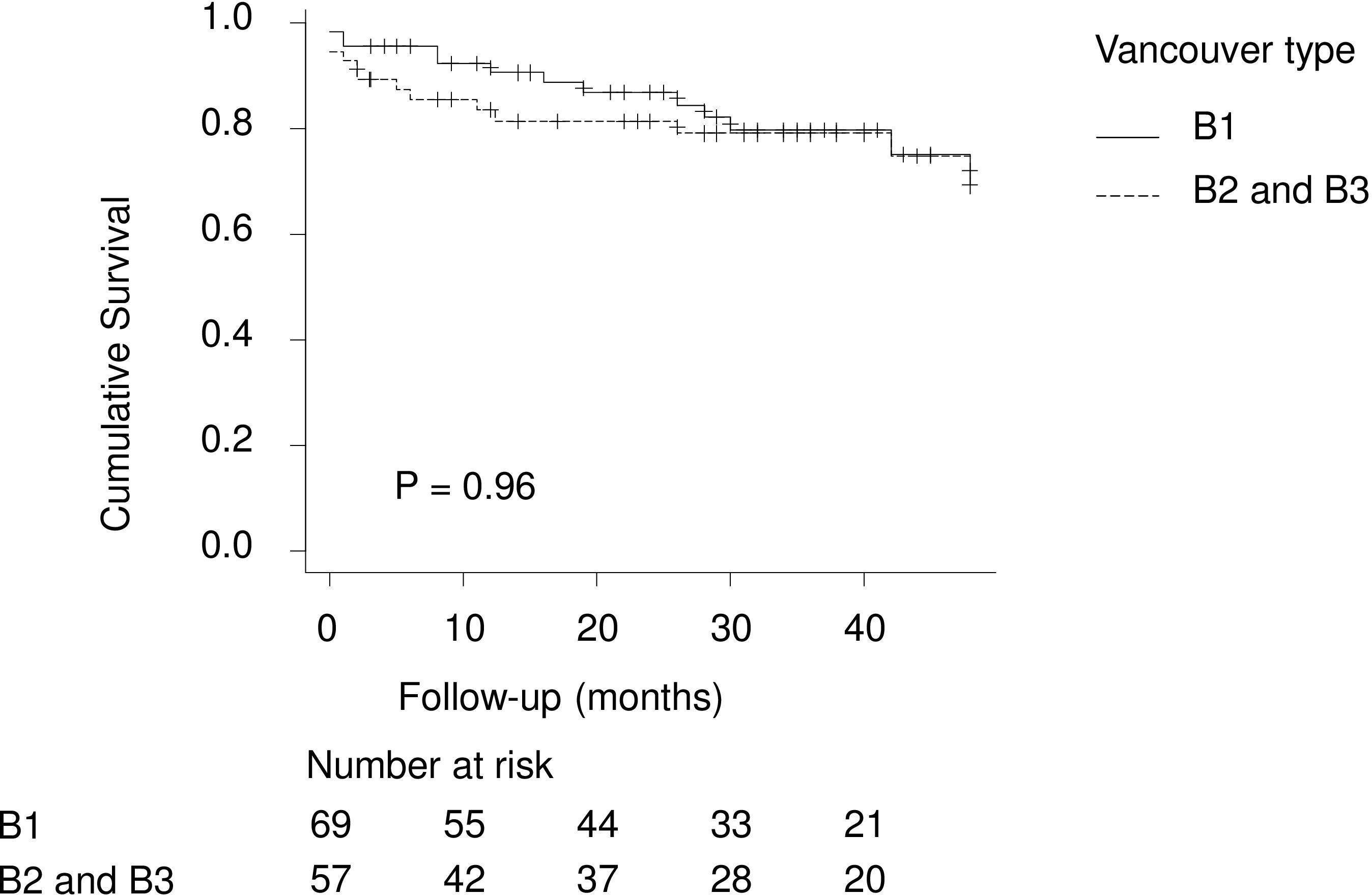 Fig. 2 
          Kaplan-Meier survival curve for patients with Vancouver type B by fracture subtype.
        