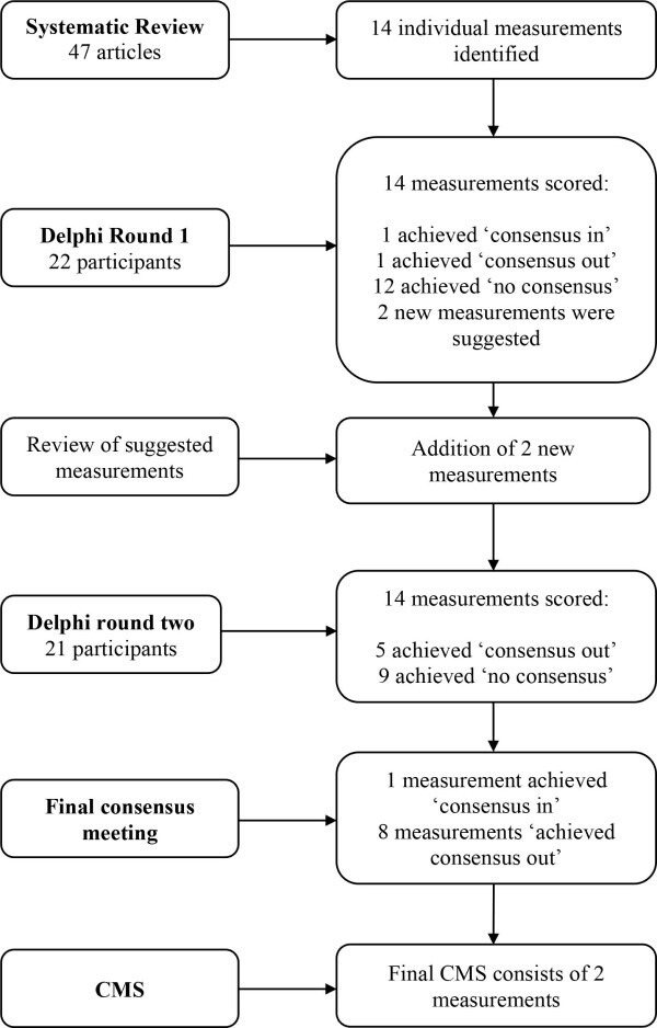 Fig. 3 
            Overview of the development of the CMS. Fourteen measurements were initially identified from the systematic review. After undertaking a Delphi process, two measurements reached consensus to form the core measurements set: Reimer’s hip migration and femoral head-shaft angle.
          