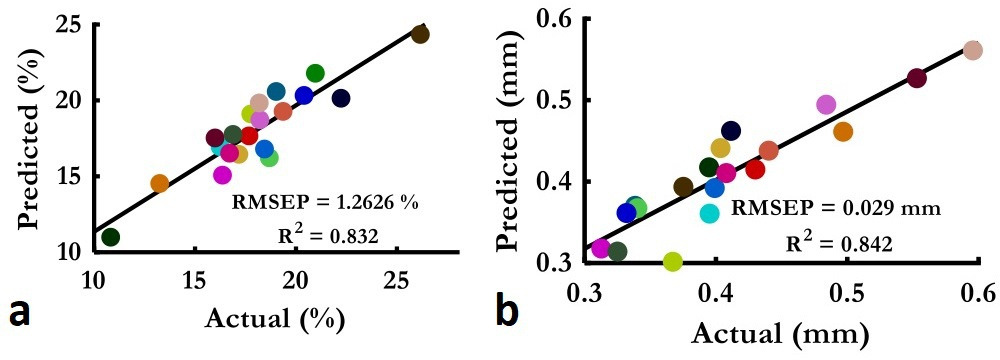 Fig. 4 
            Partial least square regression (PLS-R) analysis showing correlation between average near-infrared (NIR) spectra of a human bone sample acquired from the outer cortical surface, with the micro-CT parameters. The scores plot showed the relationship between the measured spectra and a) bone volume fraction and b) cortical thickness. RMSEP, root mean square error of prediction.
          