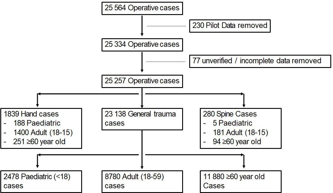 Fig. 2 
          Breakdown of cases.
        