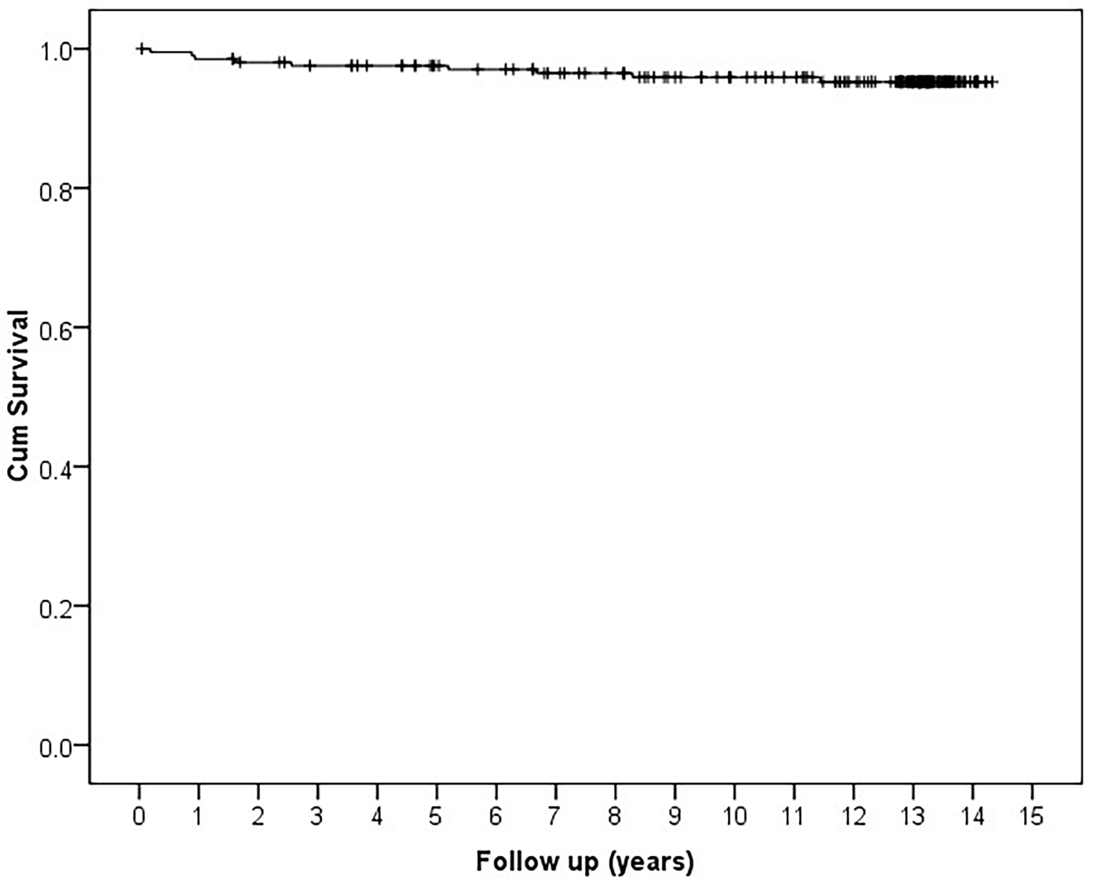 Fig. 2 
          Kaplan-Meier curve for implant survival. There were nine revisions during the 15 years’ follow-up period.
        