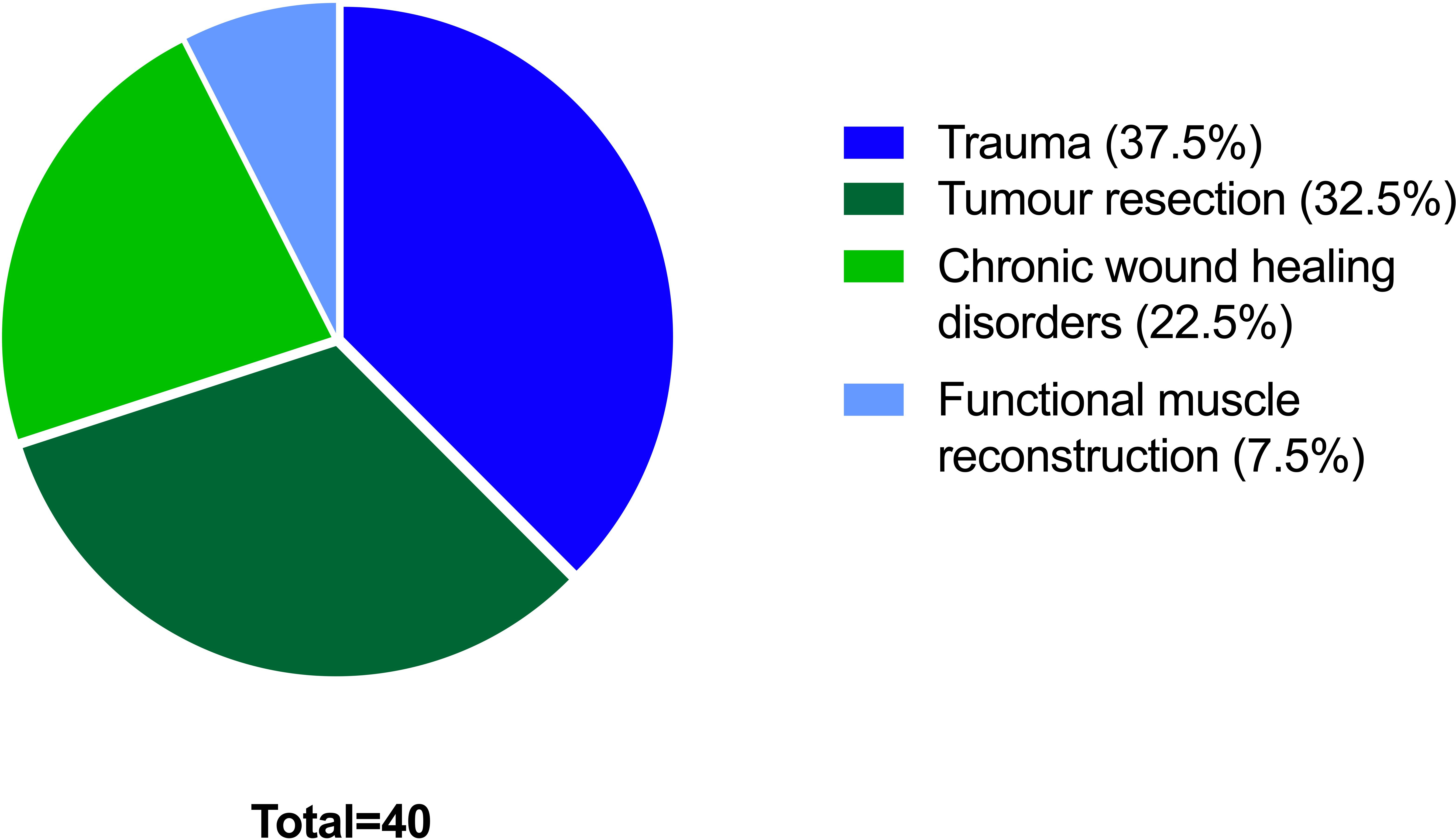 Fig. 2 
            Indication for free flap surgery (study group).
          