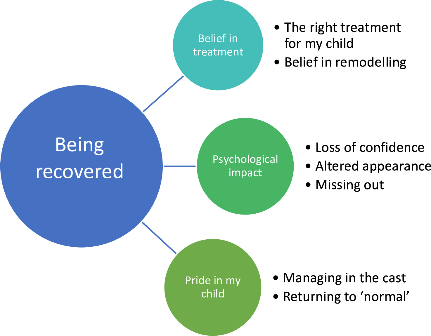 Fig. 1 
          The new theme “Being recovered”, with associated categories.
        