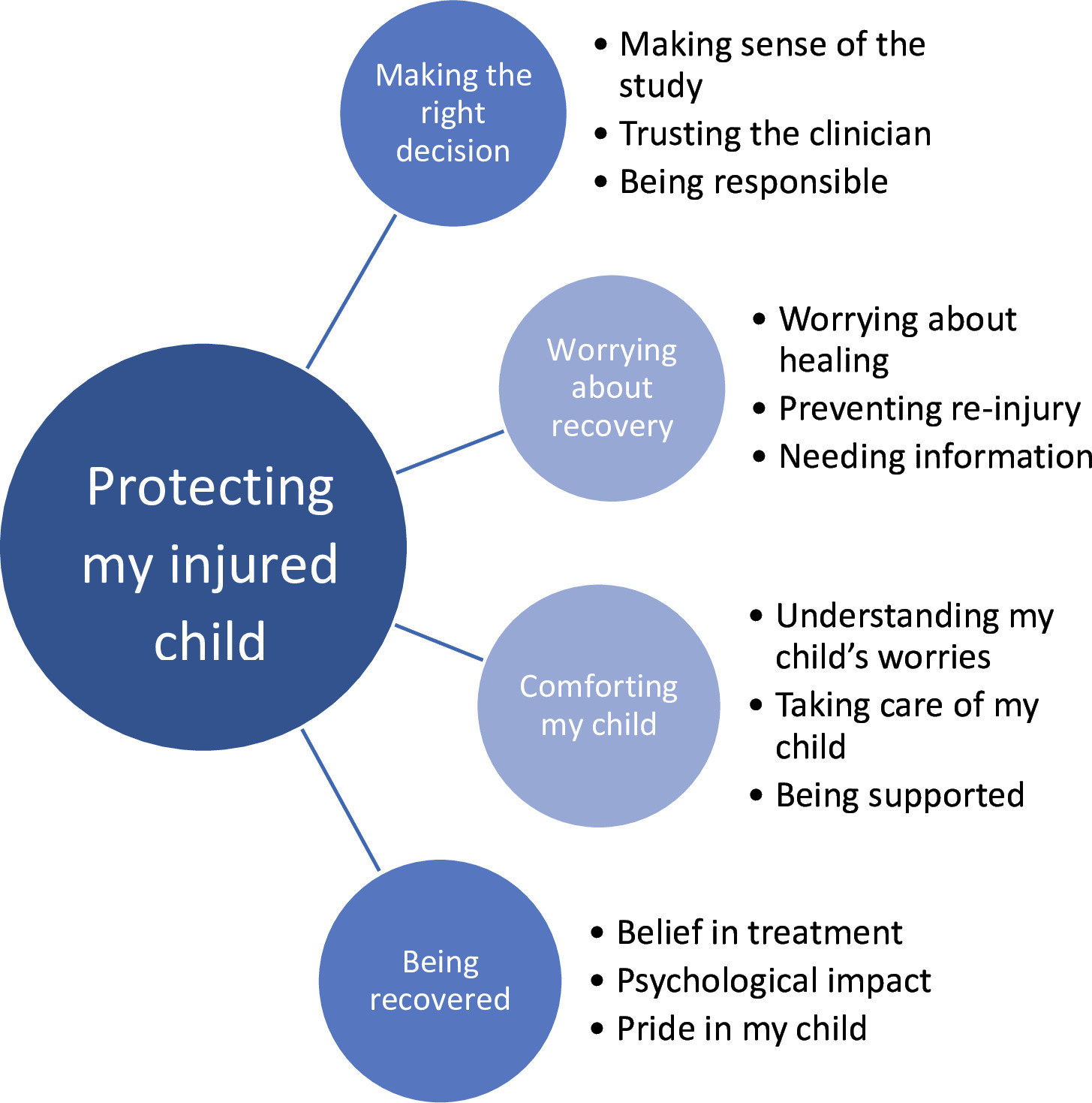 Fig. 2 
          Protecting my injured child throughout recovery: the extended framework.
        