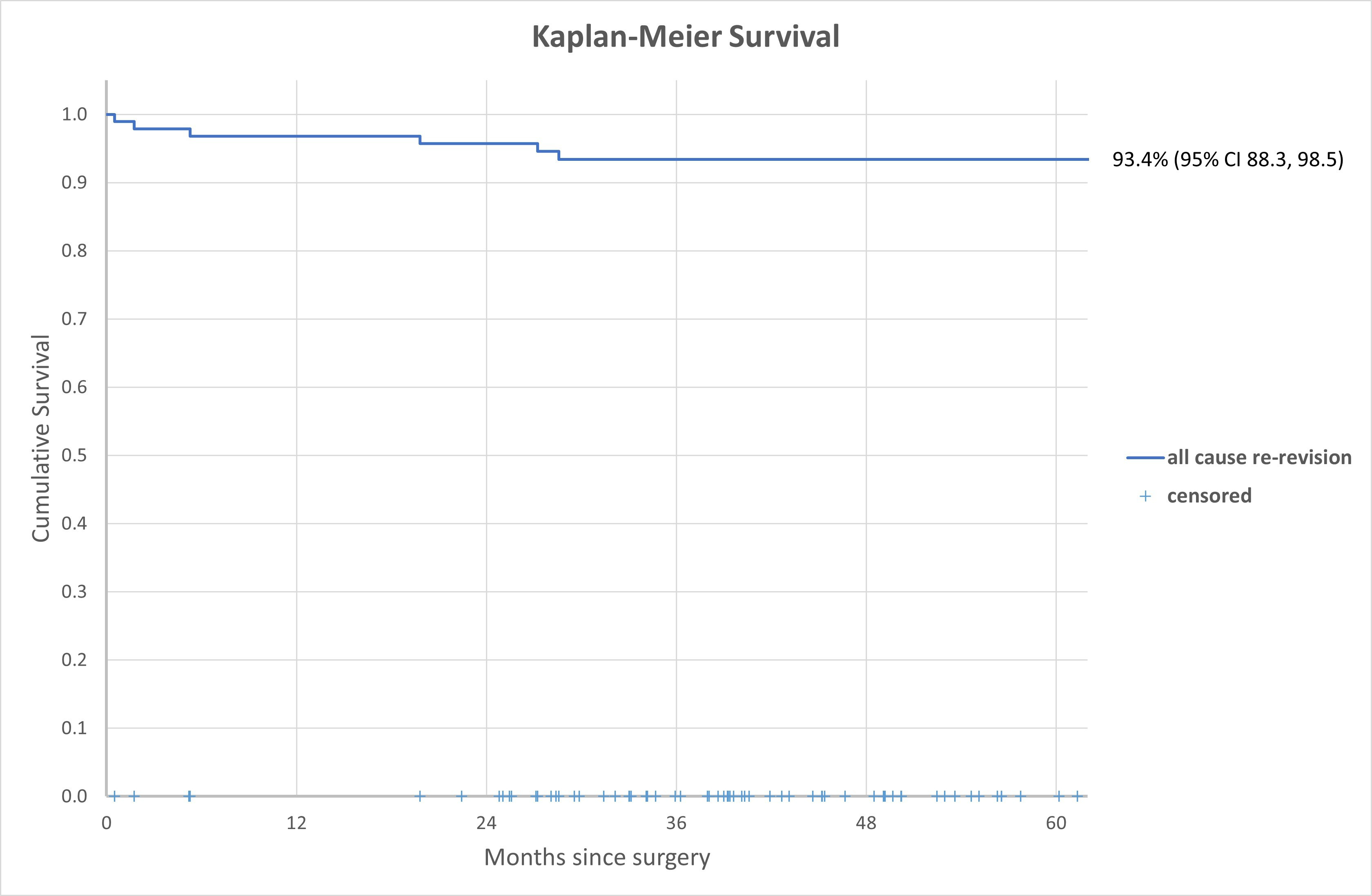 Fig. 2 
          Overall Kaplan-Meier survival curve. CI, confidence interval.
        