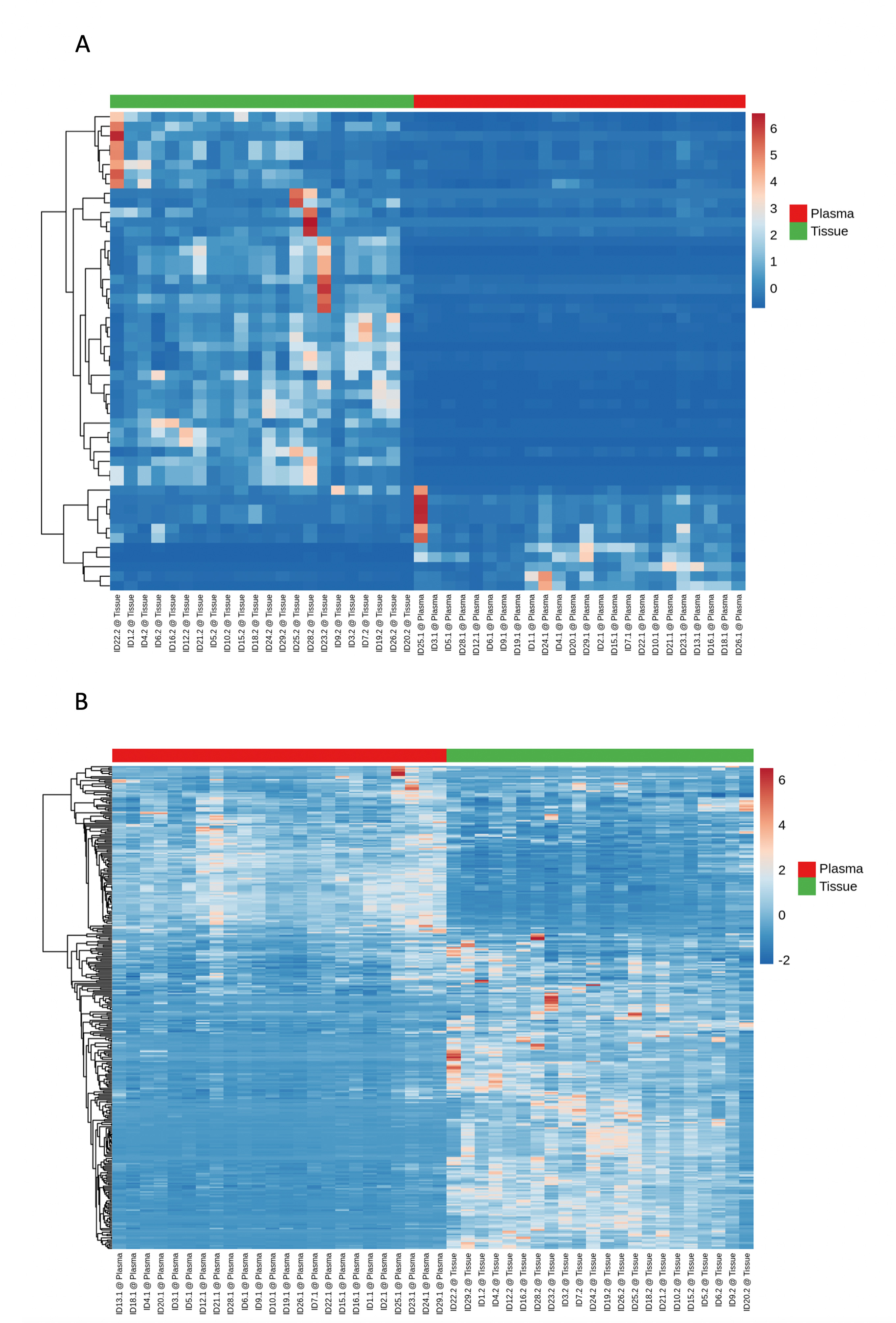 Fig. 4 
            a) This heatmap is for only the top 50 micro RNAs (miRNAs) (based on coefficient of variation (CV%)). An additional filter was introduced to increase the robustness: only miRNAs that showed reads assigned per million (RPM) in at least 1 /n (groups) percent of samples (e.g. with four groups, the miRNA has to have an RPM value above five in at least 25% of the samples). This removed miRNAs that had a high CV, but were only expressed in a too small amount of samples to have any statistical significance or biological relevance. b) A total of 341 miRNAs were shown in the other heatmap, based on the same filters described for the top 50 miRNAs. On the x-axis, plasma and tissue samples are depicted, whereas on the y-axis, the detected miRNAs are illustrated. On the top of the heatmaps, scale bar with plasma (red) and tissue (green) sections is demonstrated.
          