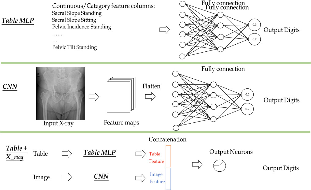 Fig. 5 
            Illustrations of the tabular model, the convolutional neural network (CNN) model, and the model combining CNN and table multilayer perceptron (MLP).
          