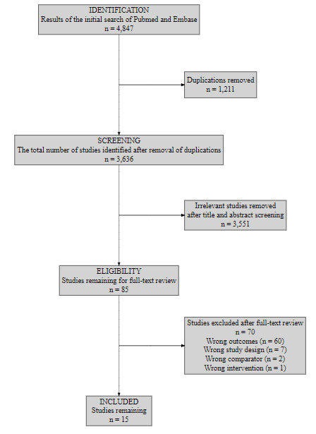 Fig. 1 
          Overview of the selection process.
        