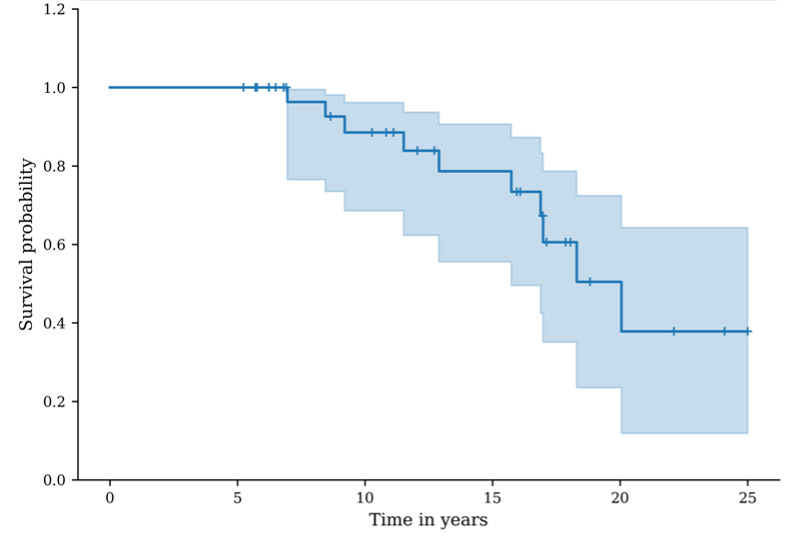 Fig. 6 
            Graph showing survival, considering any revision procedure as the endpoint. The blue line represents the revision-free survival probability, and the shaded area represents the 95% CI.
          