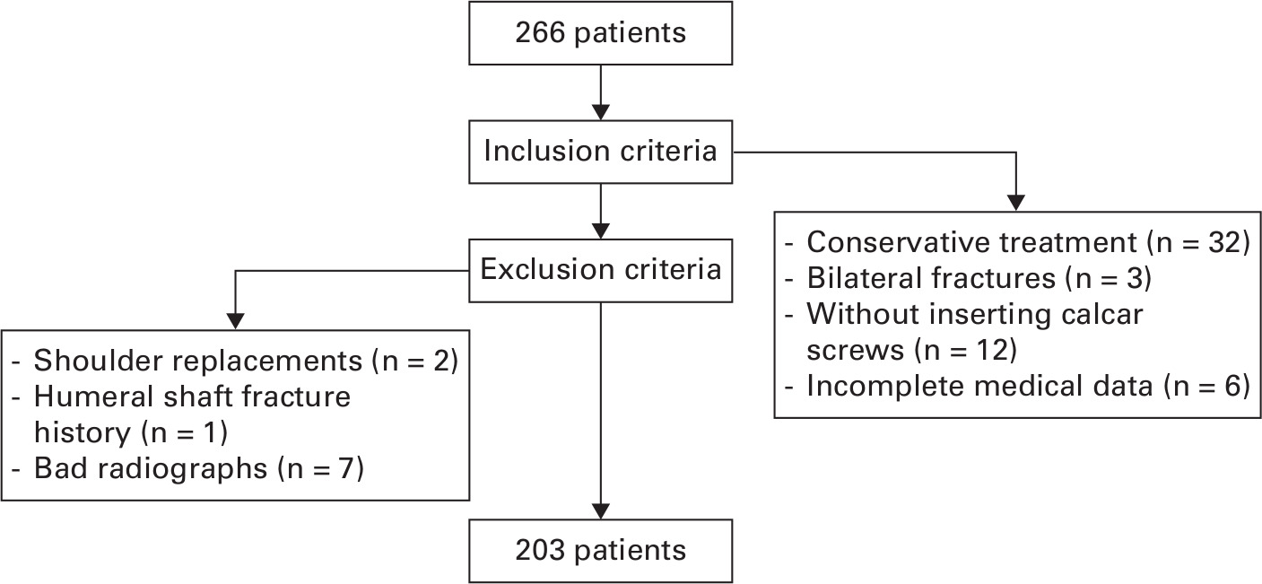 Fig. 1 
          Patient selection process.
        