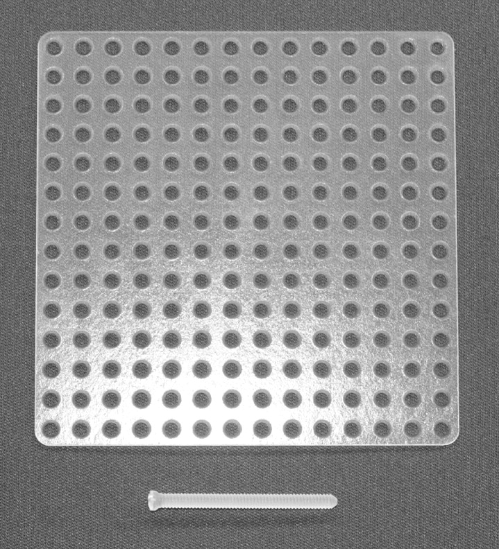 Fig. 1  
            Photograph of a biodegradable mesh plate and screw.
          