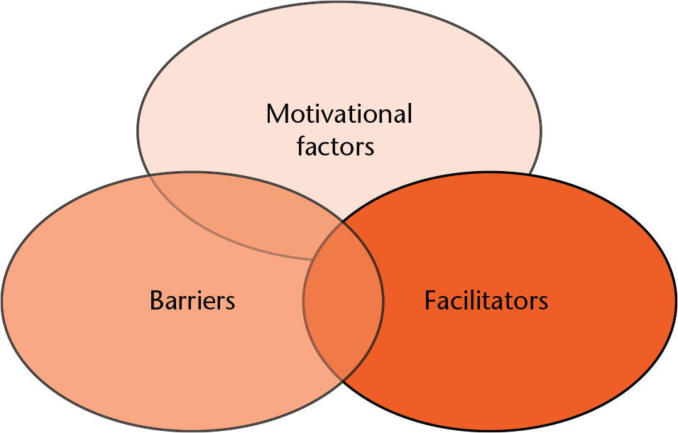Fig. 1 
          Three themes emerged from the discussion: motivational factors for collaborative research; barriers to research; and facilitators for research.
        