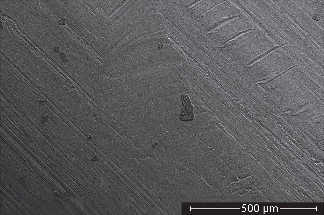Fig. 9 
          Scanning electron microscopy (SEM) images from inferior ridge of the cephalic blade. On higher-powered magnification (300×), more transverse scratch marks can be seen at closer intervals with varying depths. Magnification 300×.
        
