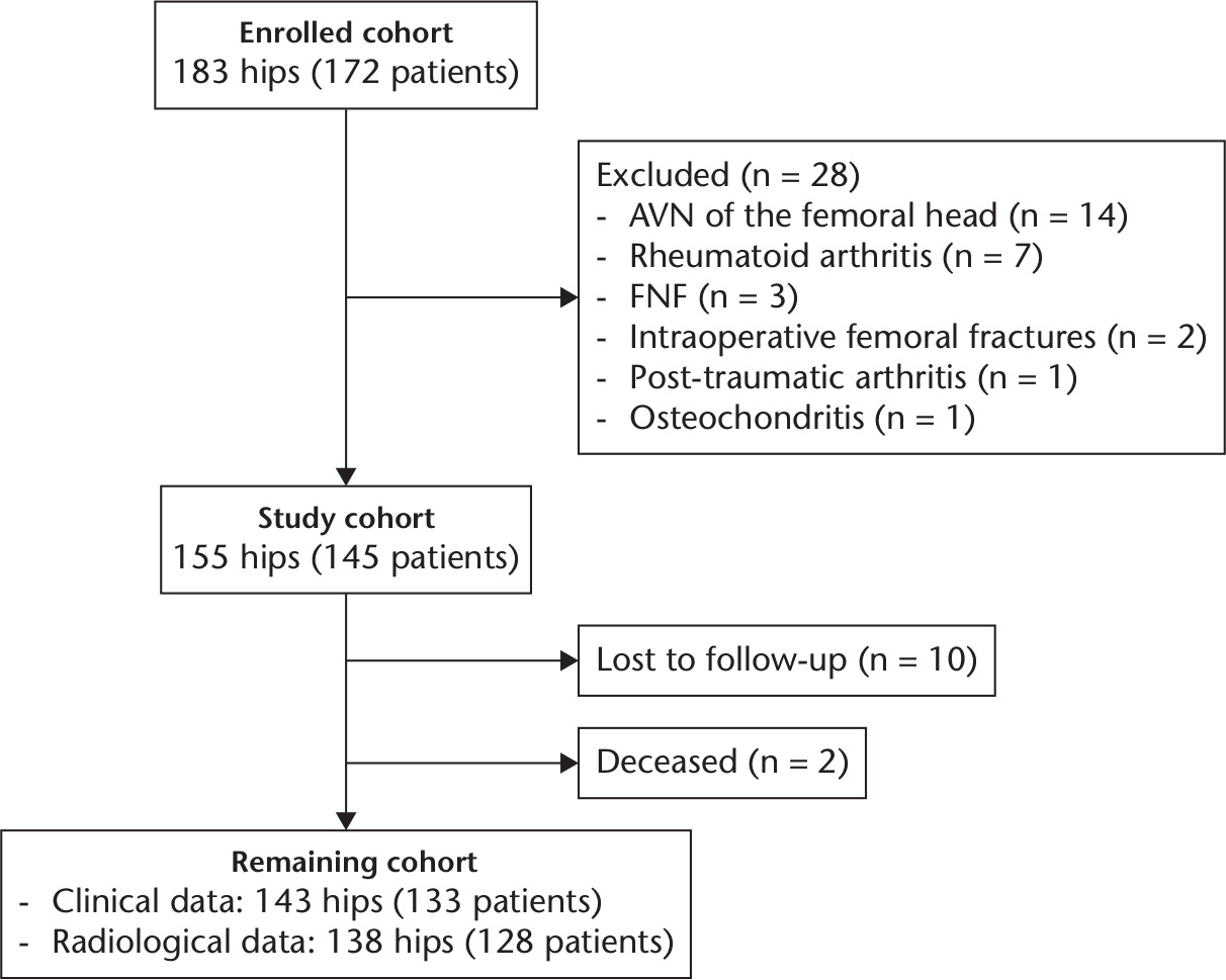Fig. 1 
            Study flowchart detailing initial cohort, exclusions, losses to follow-up, deaths, and final cohorts evaluated clinically and radiographically. AVN, avascular necrosis; FNF, femoral neck fracture.
          