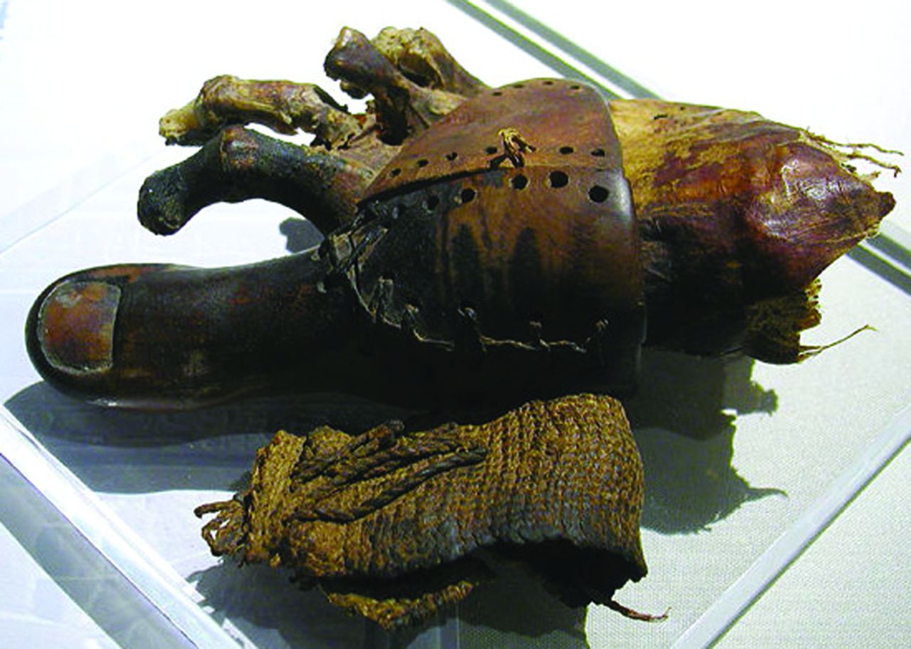 Fig. 12 
          Ancient Egyptian hallucial prosthesis, made of wood and leather.
        