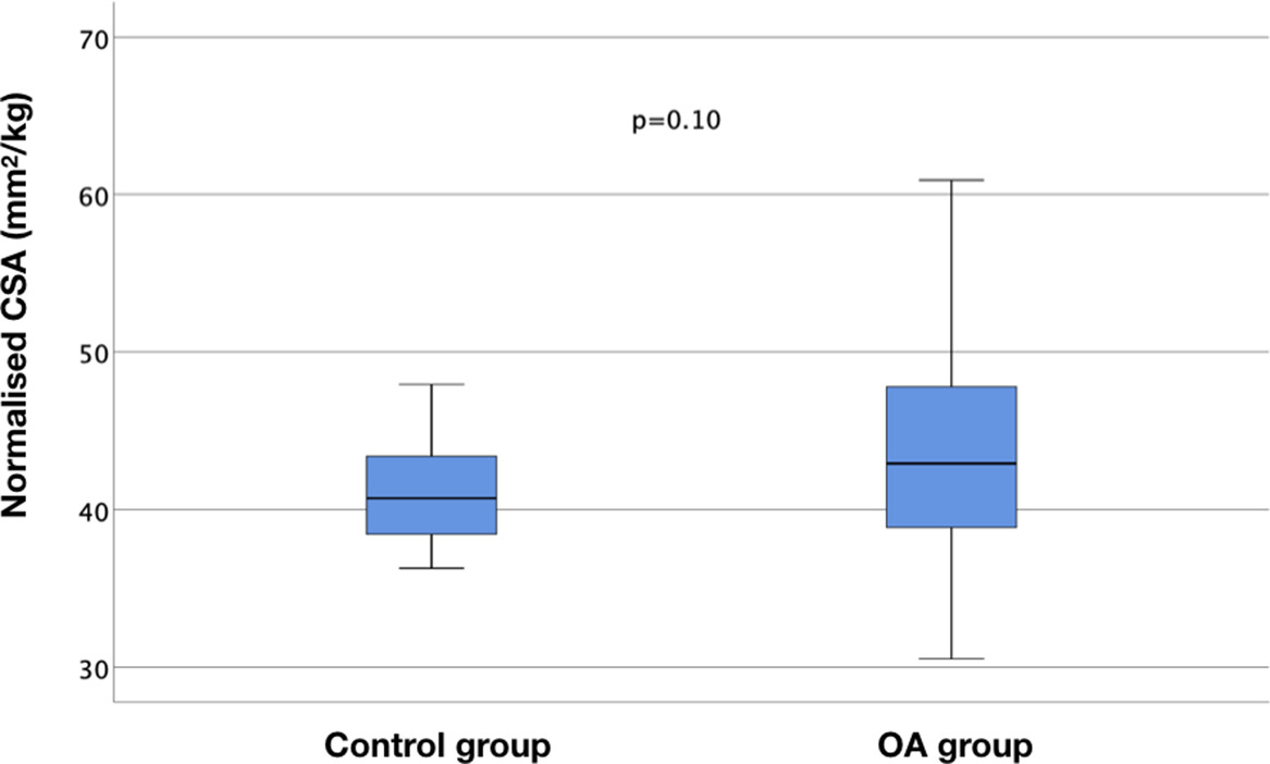 Fig. 4 
            Boxplot of normalized cross-sectional areas (N-CSA) of the gluteus medius in the control and osteoarthritis (OA) group. The top and bottom of each box represent the first and third quartiles of the distribution. The horizontal line inside each box represents the median (second quartile).
          