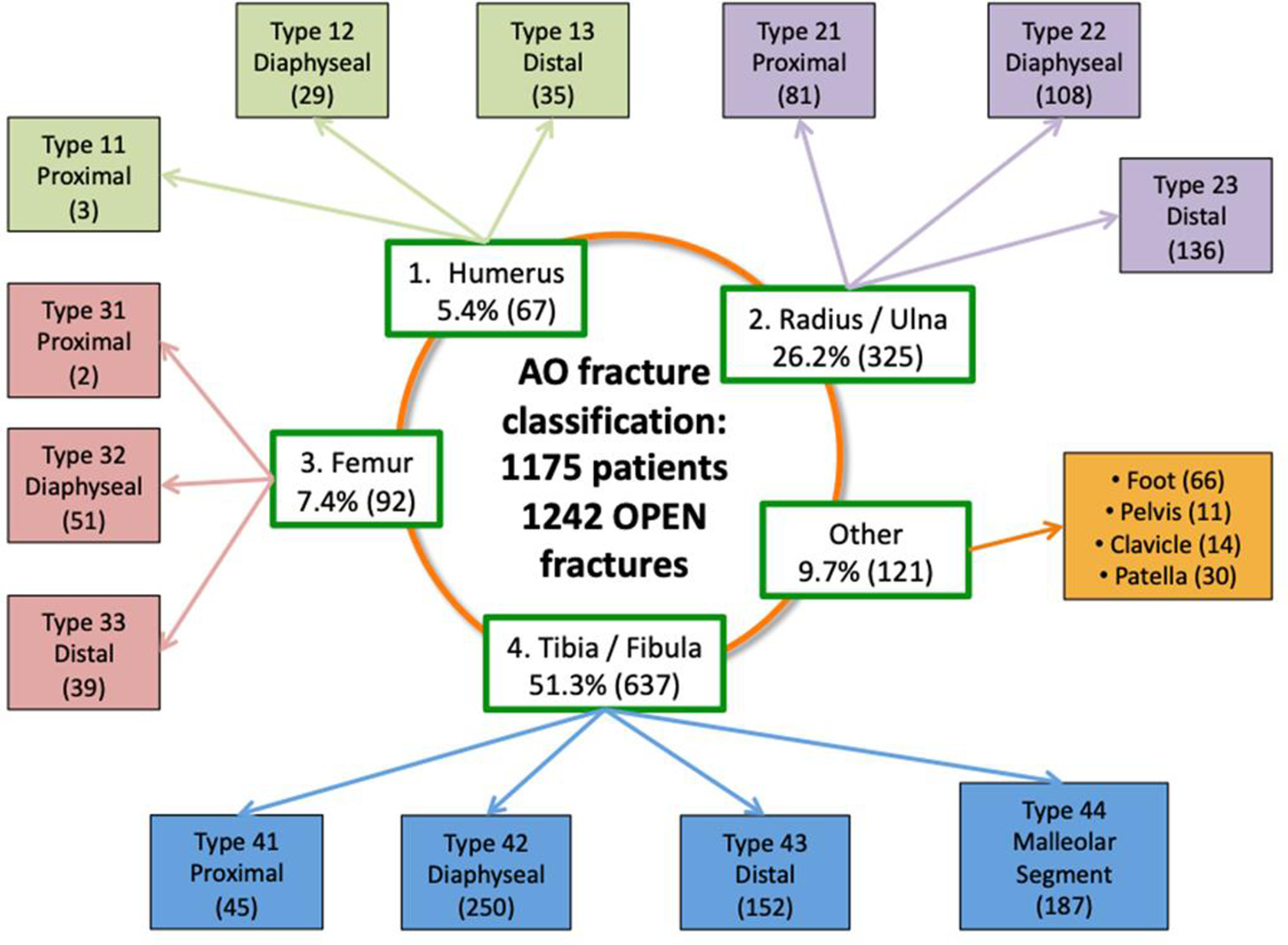 Fig. 2 
          Open fractures by AO classification.
        